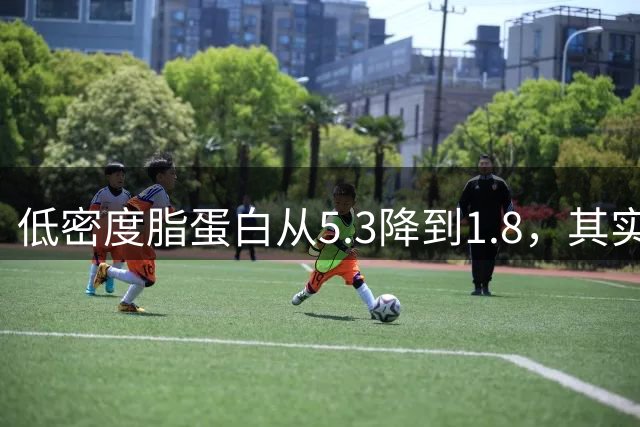 低密度脂蛋白从5.3降到1.8，其实并不难，做好这4点就够了